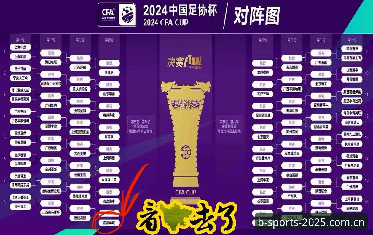 中国B体育赛事数据最新版 足协禁足名单深度解读 vs 中国B体育赛事数据最新版:如何看透这场行业震荡?